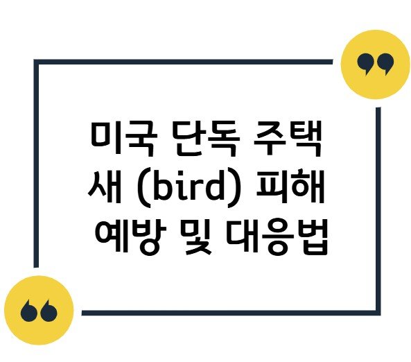 썸네일 - 미국 단독주택 새 피해 예방 및 대응법